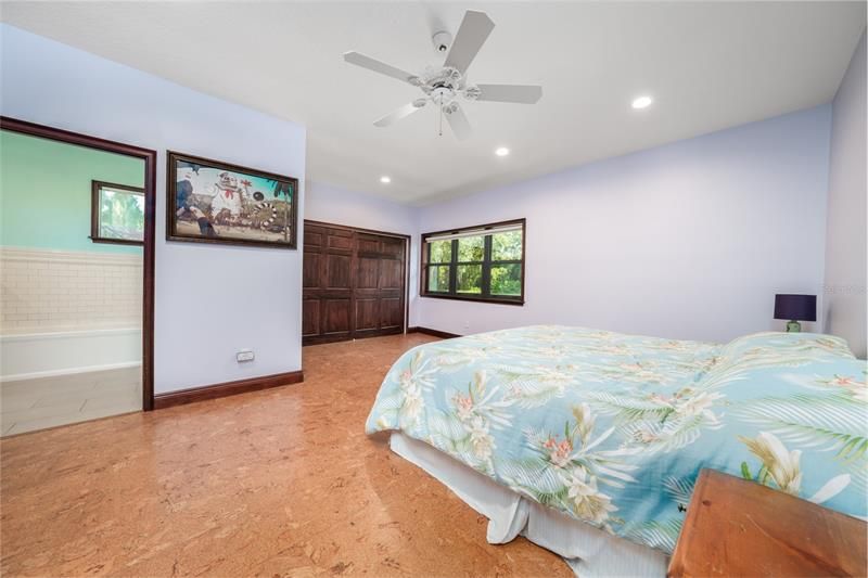 This is the 5th bedroom with all new cork flooring, custom closet, new windows and access to bathroom.