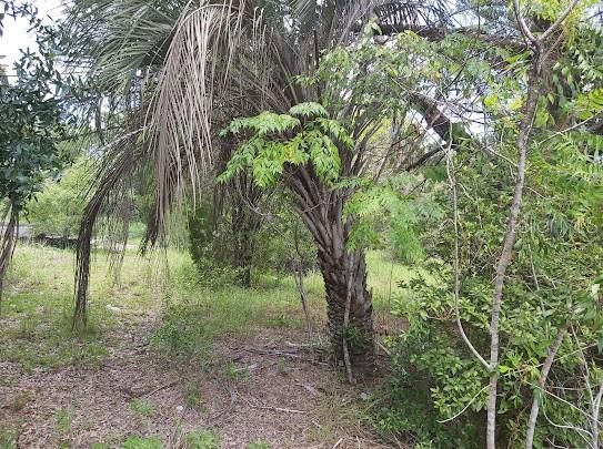 Recently Sold: $17,500 (0.70 acres)