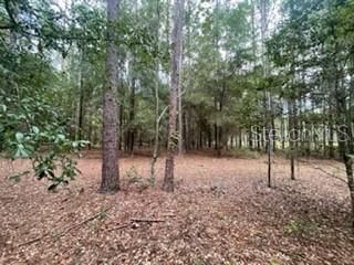 Recently Sold: $50,000 (4.76 acres)