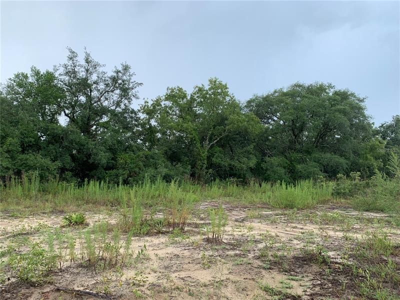 Vendido Recientemente: $57,000 (1.09 acres)