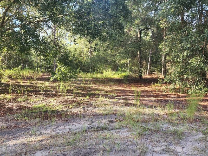 Recently Sold: $5,000 (0.22 acres)