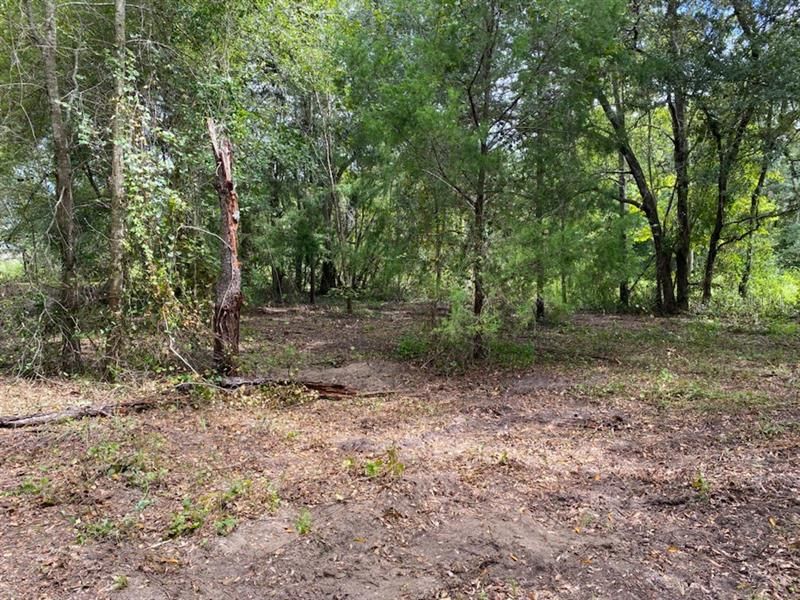 Recently Sold: $74,900 (1.63 acres)