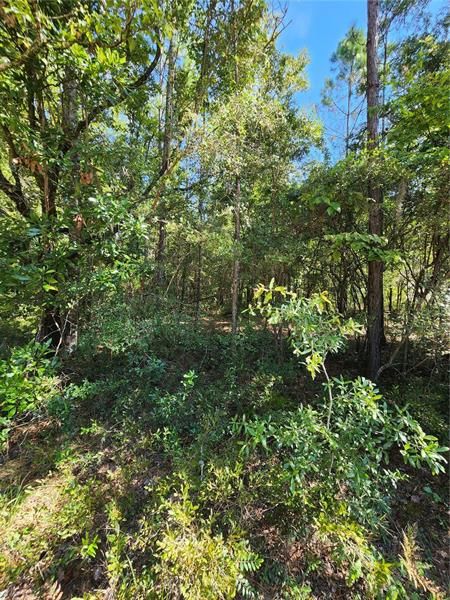 Recently Sold: $26,000 (0.92 acres)