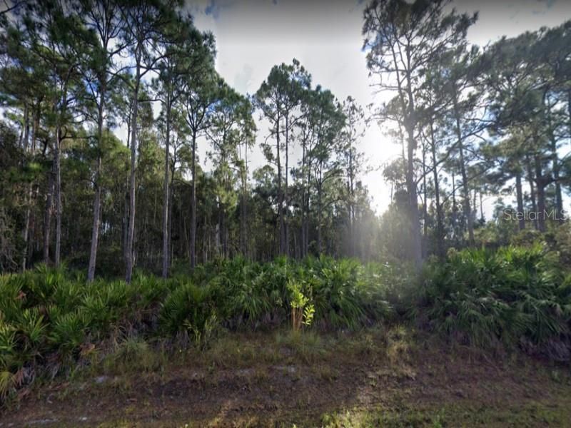 Recently Sold: $37,450 (0.50 acres)