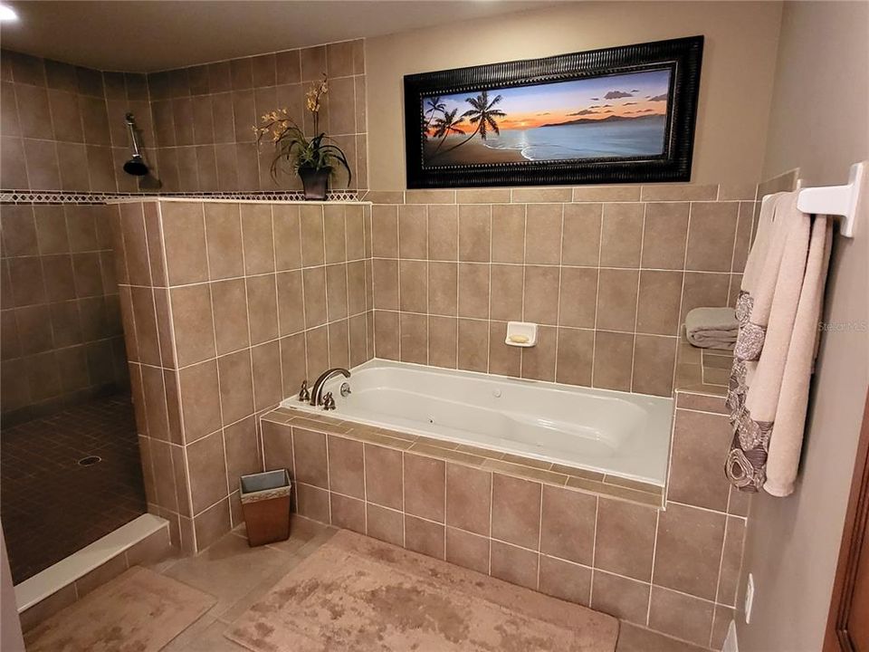 Master Bath Tub