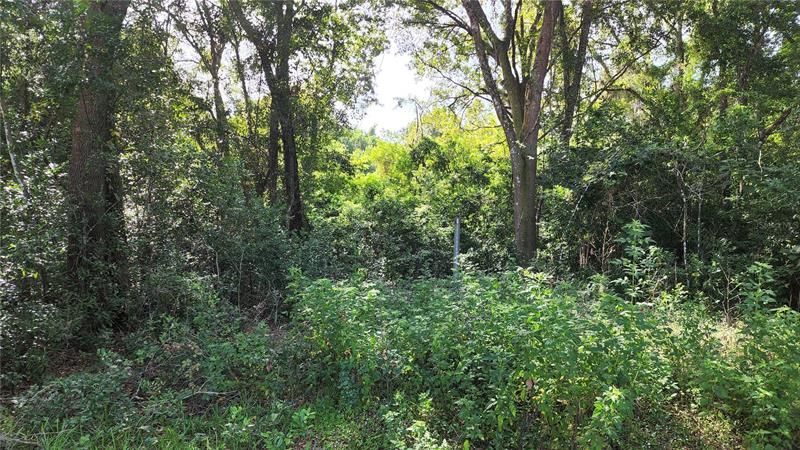 Recently Sold: $42,900 (0.70 acres)