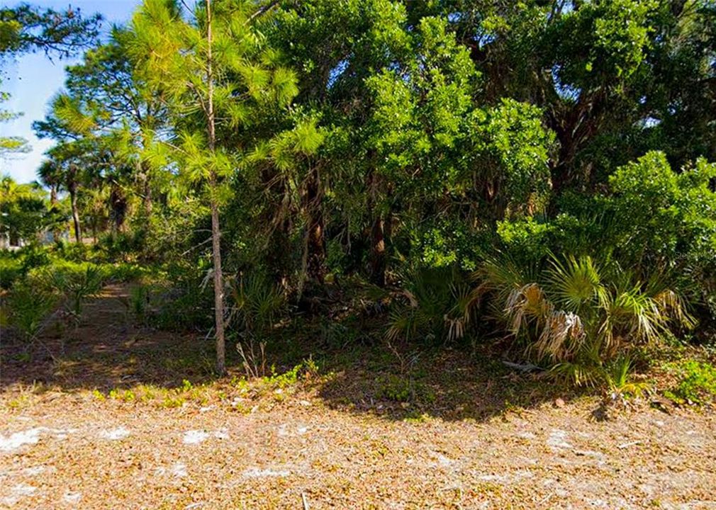 最近售出: $14,000 (0.23 acres)