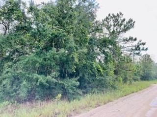 Recently Sold: $15,000 (1.25 acres)