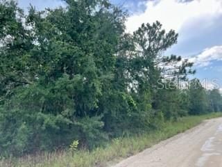 Recently Sold: $15,000 (1.25 acres)