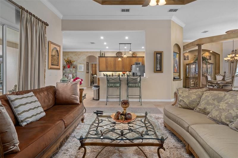 Formal living room/great room