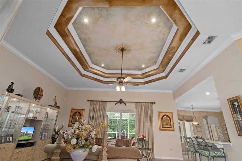 Double Tray ceilings with custom paint