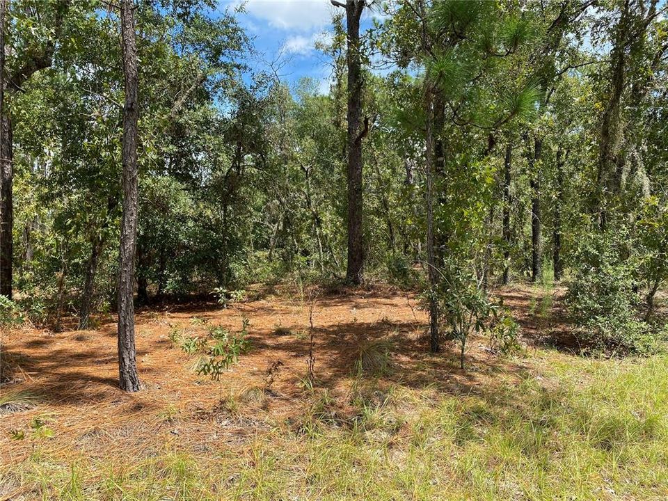 Recently Sold: $99,000 (4.62 acres)