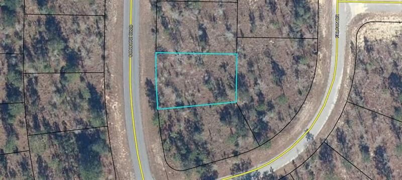 For Sale: $9,900 (0.23 acres)