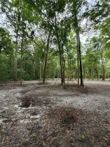 Recently Sold: $40,000 (0.92 acres)
