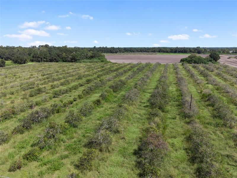 Recently Sold: $160,000 (10.00 acres)