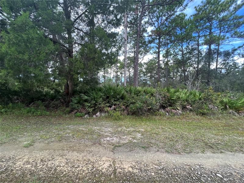 Vendido Recientemente: $7,500 (0.17 acres)