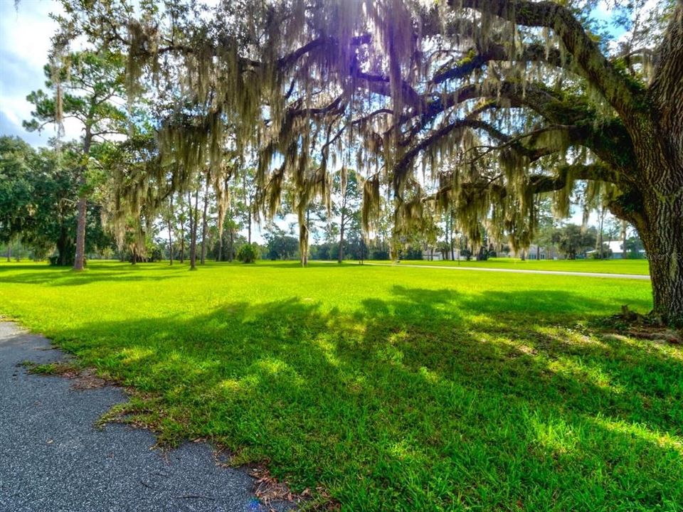 Ground view from corner on Lindsay Ln