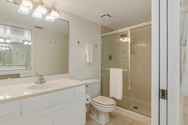 Owners Suite Full Bathroom with Shower
