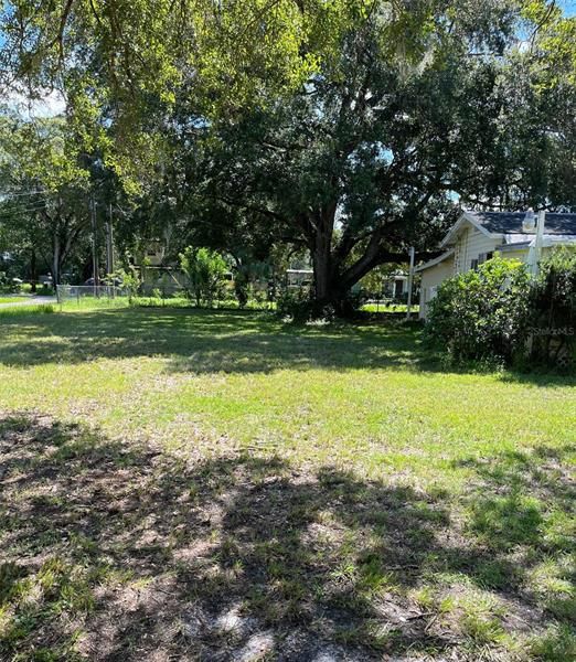 North portion of lot looking toward road