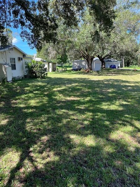 North portion of lot looking westerly toward another large oak