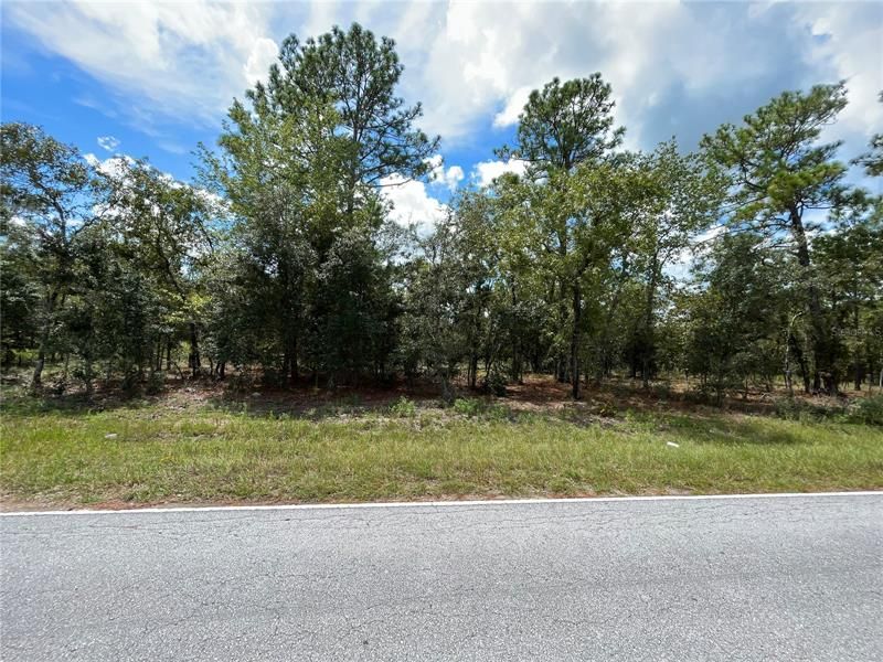 Recently Sold: $18,500 (1.09 acres)