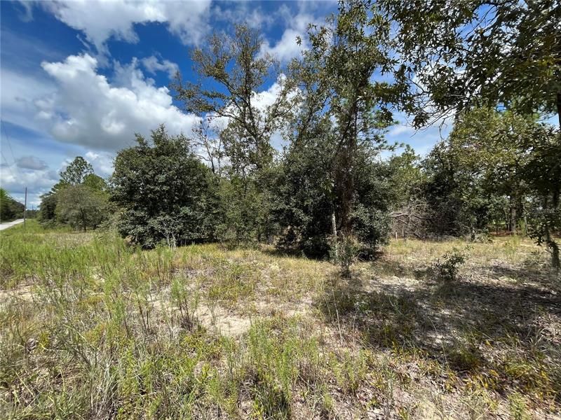 Recently Sold: $18,500 (1.09 acres)