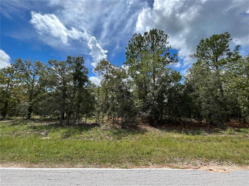 Recently Sold: $18,500 (1.09 acres)