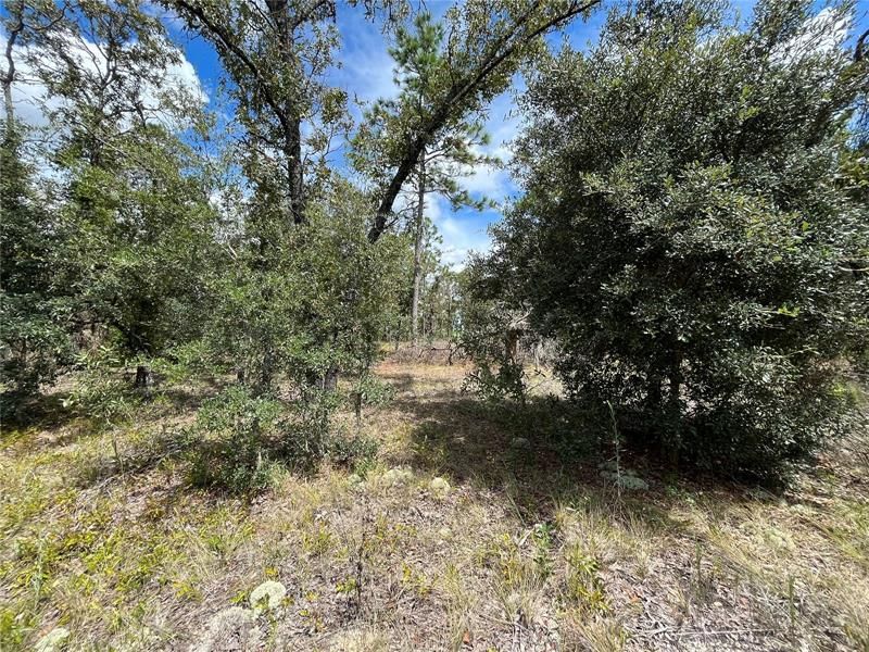 Vendido Recientemente: $18,500 (1.09 acres)