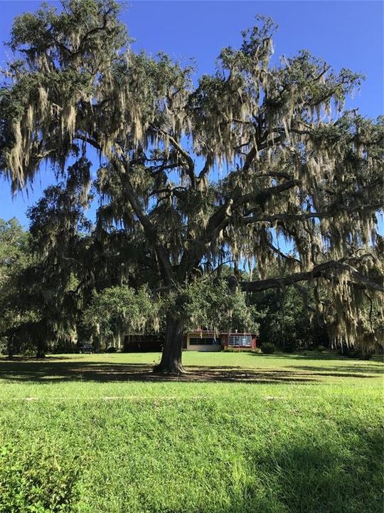 Front Yard facing Lake