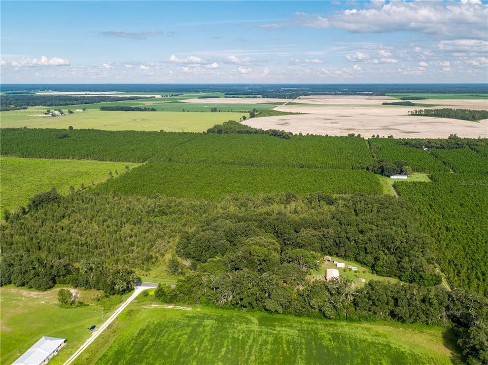 For Sale: $498,000 (60.00 acres)