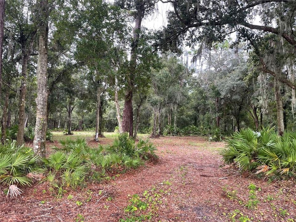 Vendido Recientemente: $82,500 (1.01 acres)