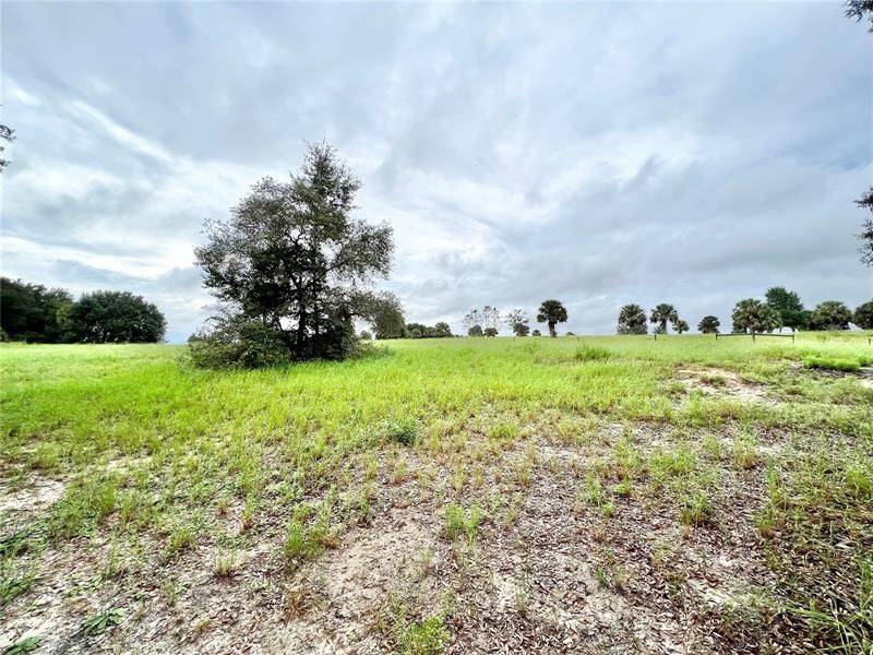 Vendido Recientemente: $97,500 (0.76 acres)