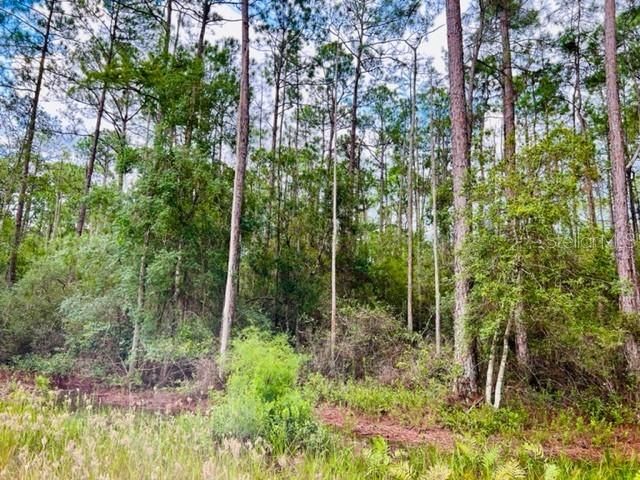 Recently Sold: $75,900 (5.05 acres)
