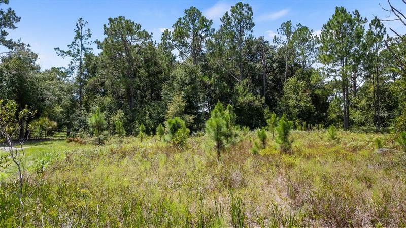 Recently Sold: $113,900 (2.50 acres)