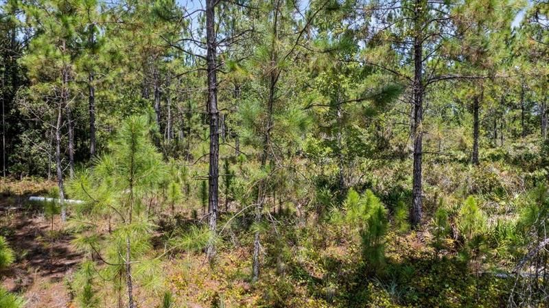 Recently Sold: $113,900 (2.50 acres)