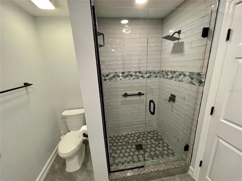 Master Bathroom Shower and toilet