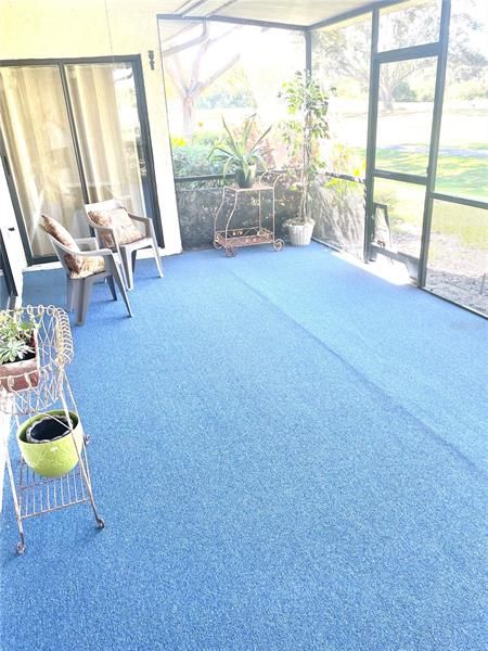 Brand new outdoor rated carpet on the lanai.