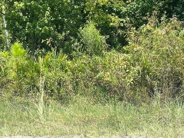 合同活跃: $19,900 (0.27 acres)