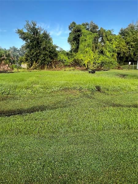 Vendido Recientemente: $64,000 (0.18 acres)