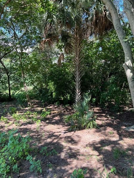 Vendido Recientemente: $44,900 (0.21 acres)