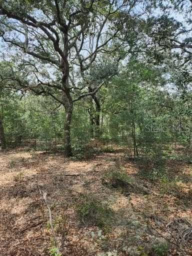 Recently Sold: $45,000 (2.82 acres)