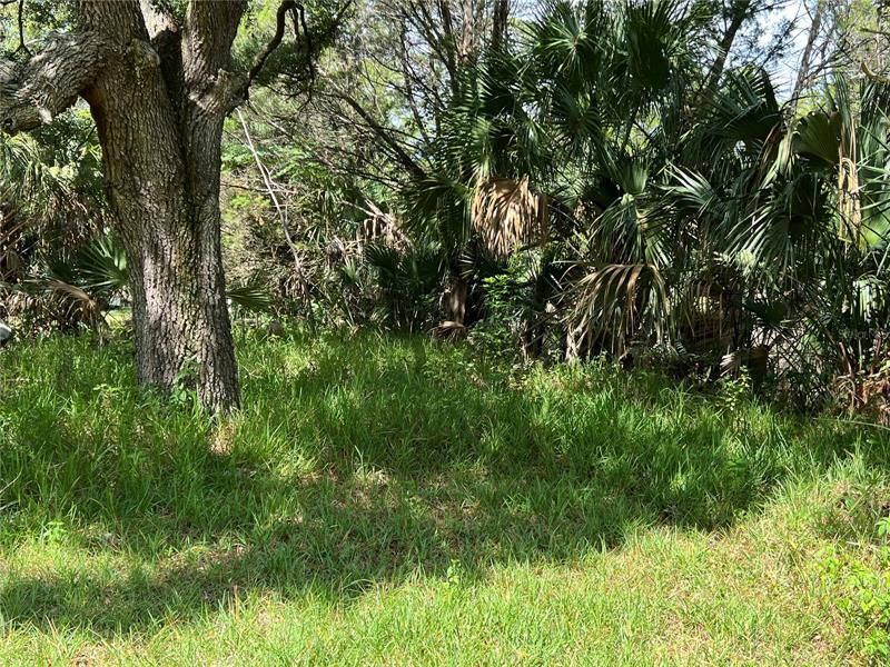 Recently Sold: $22,000 (0.38 acres)
