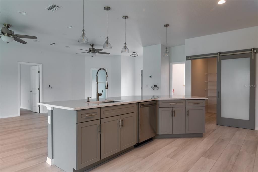 Open Kitchen and Main Living Area