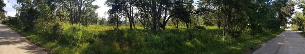 Vendido Recientemente: $179,900 (5.00 acres)