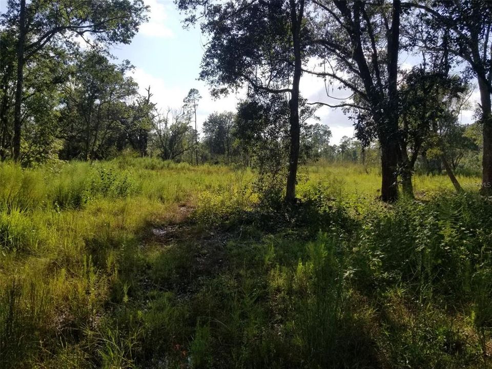 Recently Sold: $179,900 (5.00 acres)