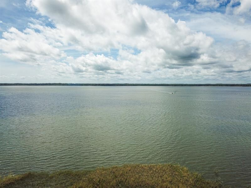 Aerial View of Lake Dora from back of property