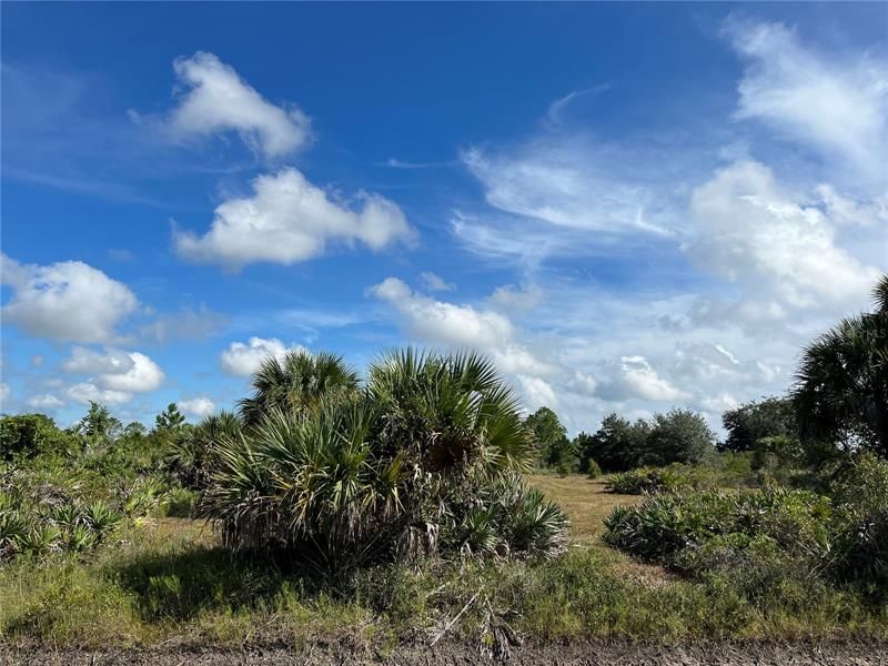 Recently Sold: $54,900 (3.00 acres)