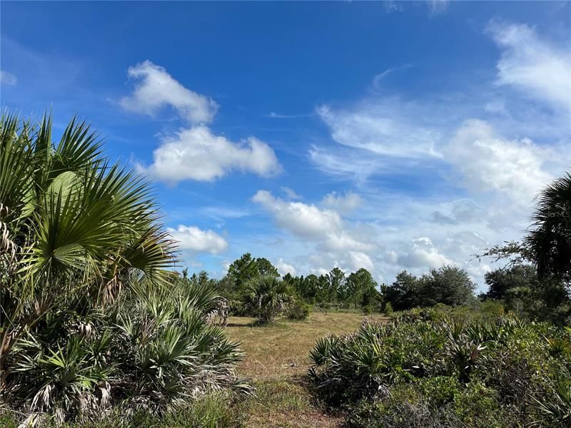 Vendido Recientemente: $54,900 (3.00 acres)