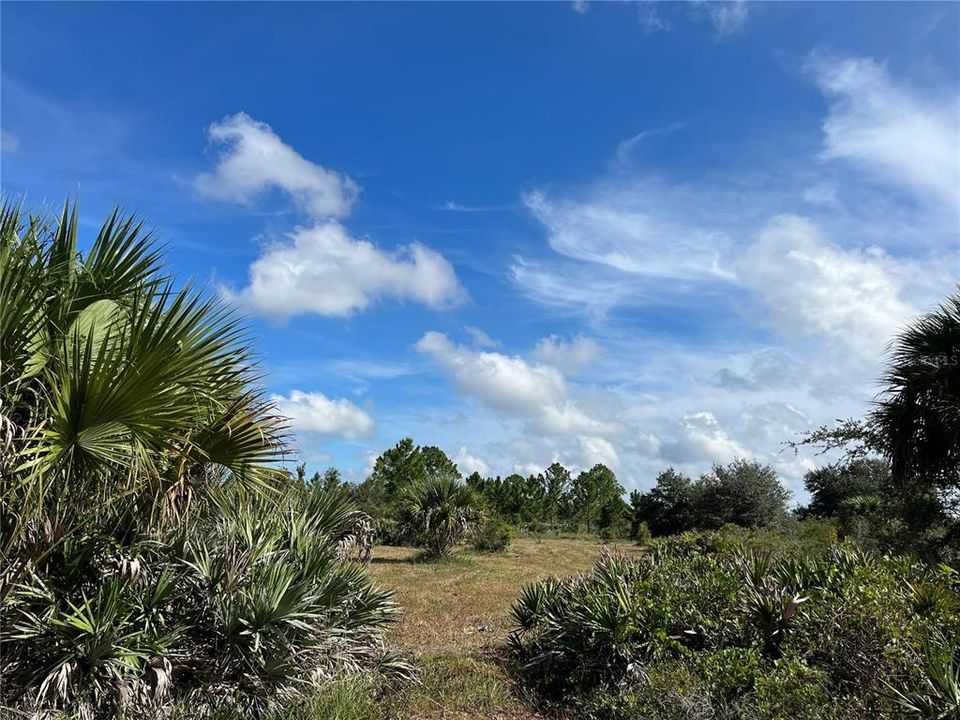 Vendido Recientemente: $54,900 (3.00 acres)