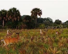 Vendido Recientemente: $54,900 (3.00 acres)